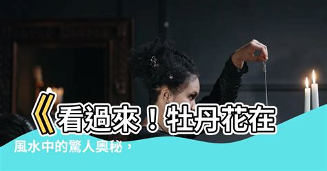 牡丹 風水|【牡丹 風水】《看過來！牡丹花在風水中的驚人奧秘，影響錢財。